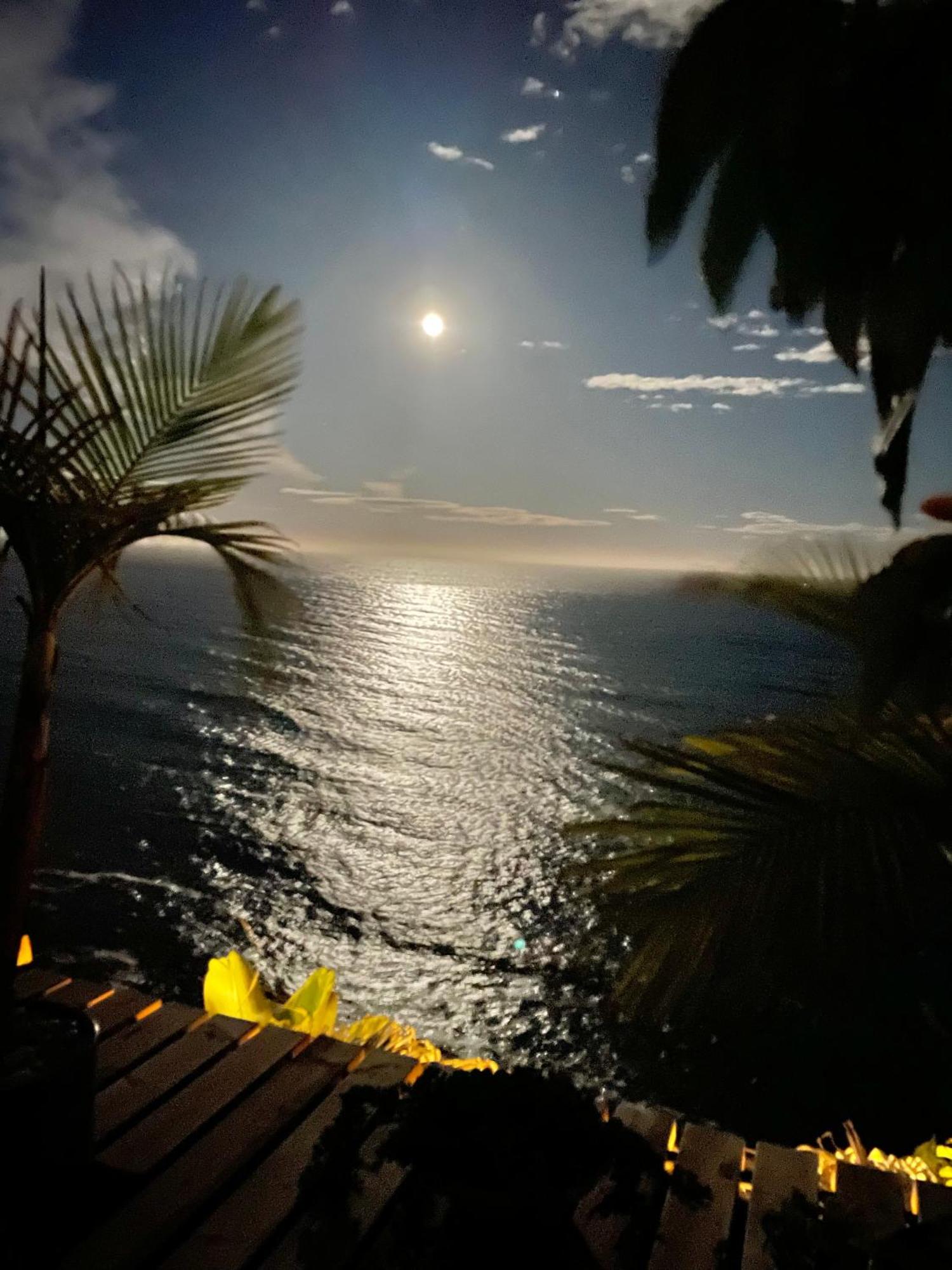 Casa Con Maravillosas Vistas Al Mar アリカンテ エクステリア 写真